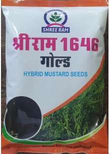 Shri Ram 1646 Gold